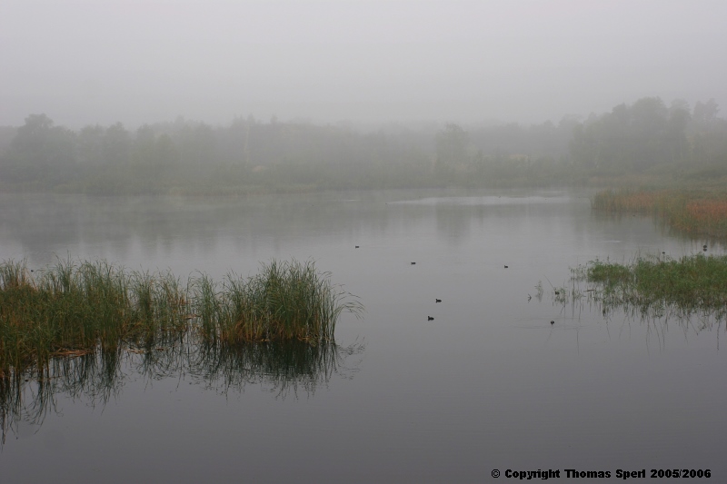 Naturschutzgebiet &_39;See am Goldberg&_39;
